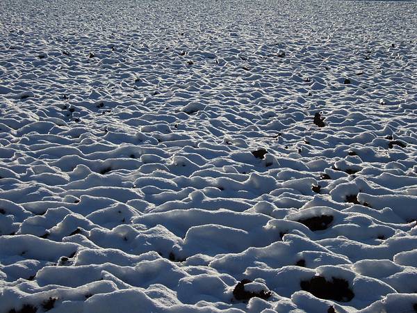 Wintereinbruch in der Fr�nkischen Schweiz, November 2006