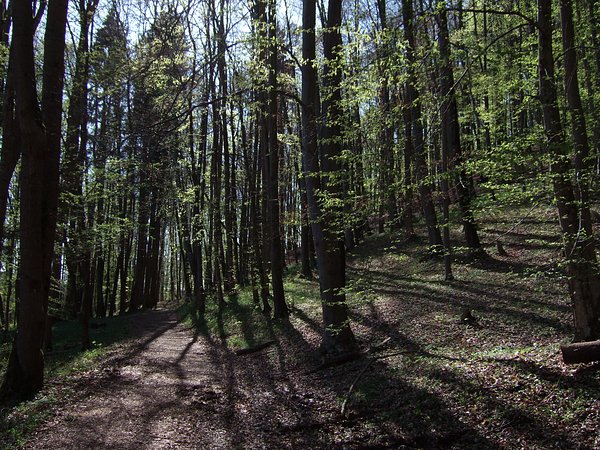 bei Altdorf, April 2007