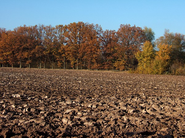 Bei Langenzenn, November 2007