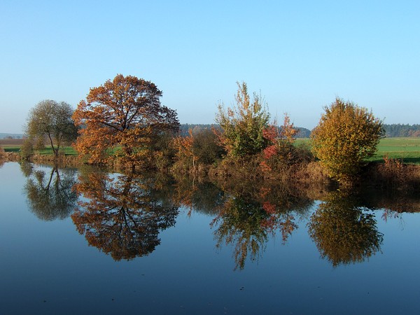 Bei Langenzenn, November 2007