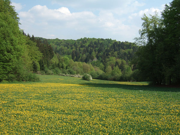 In der Fr�nkischen Schweiz