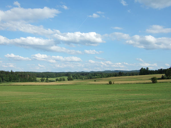 Bei Neuhaus a.d. Pegnitz