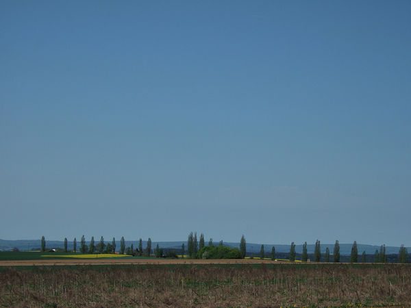 Toscana-Impressionen