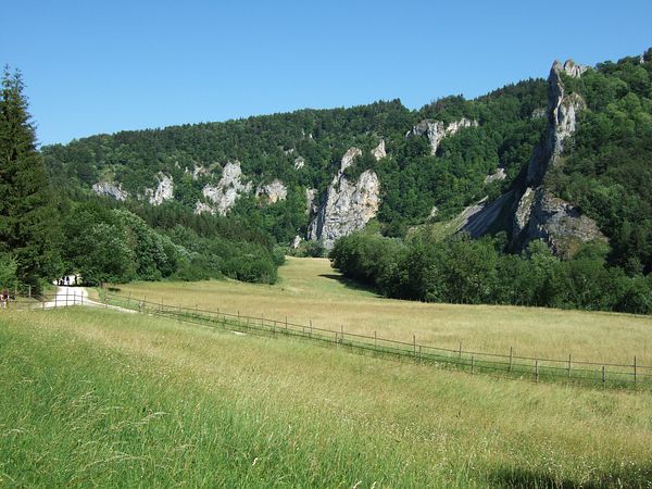 Donautal bei Immendingen
