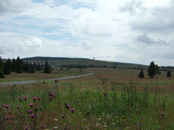 Hochebene bei Gottesgab / Bozi Dar