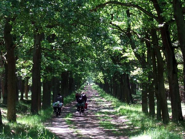 zwischen Neubr&uuml;ck und Mixdorf
