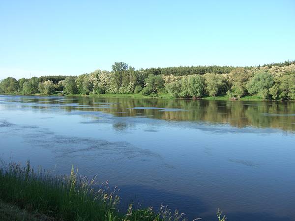 Oder bei Hohenwutzen