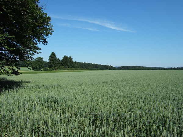 Auf der Schw�bischen Alb