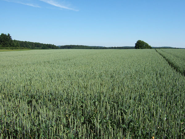 Auf der Schw�bischen Alb