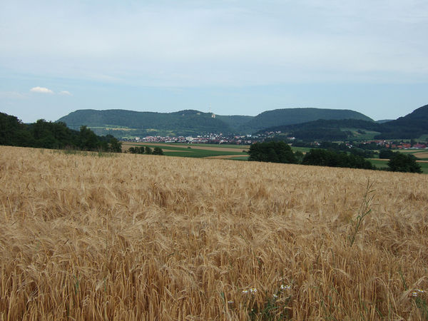 Albvorland bei Aalen